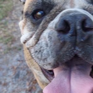 Meet your Posher, Cassie